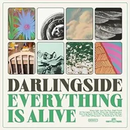 Album cover Everything is Alive by Darlingside